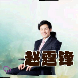 赵霆锋