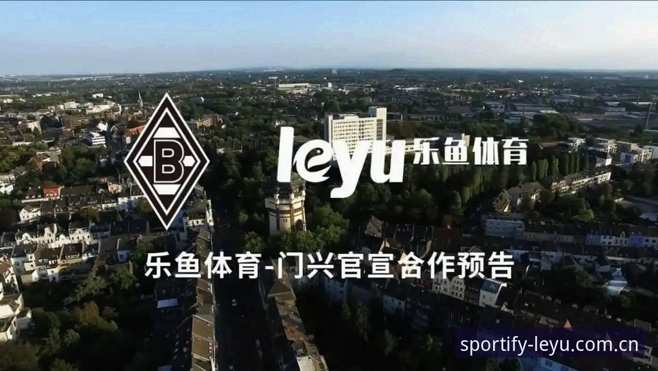 乐鱼体育在线观看常见问题详解